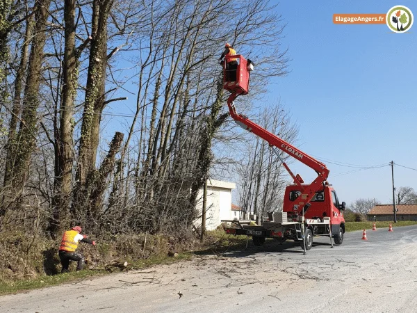 Elagage d'Arbre a Angers avec Nacelle